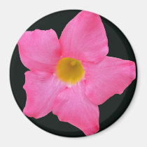 Aimant rose de fleur magnets