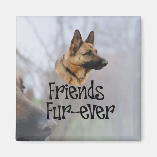Aimant Schäferhun « Friend Fur-ever «