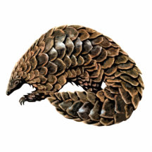 Aimant/sculpture de coupe-circuit de Pangolin Photo En Relief