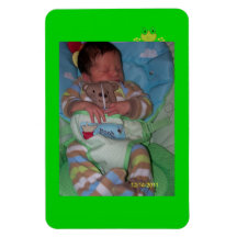 aimant semi-transparent de photo de grenouille magnet