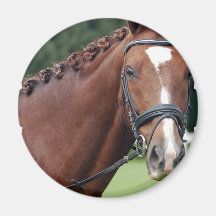 Aimant tressé de crinière de cheval