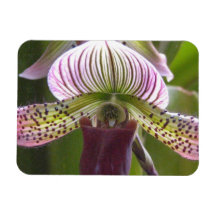 Aimant unique de prime d'orchidée
