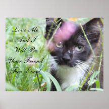Aimez-moi affiche de chaton