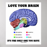 Aimez votre cerveau qu'il est le seul vous avez (l poster