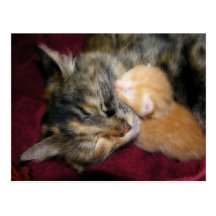 Aimez-vous carte postale de maman