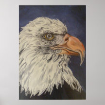 ainsi cool im posters