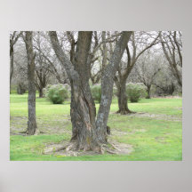 Aire de repos du Kansas Posters