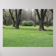 Aire de repos du Kansas Posters
