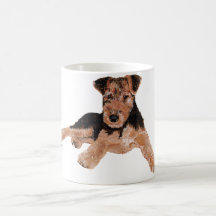 Airedale, Région des lacs, chiot de gallois Terrie Tasse