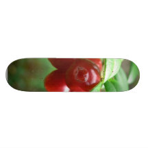 Airelles sur l'arbre planches à roulettes
