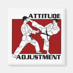 Ajustement d'attitude magnets