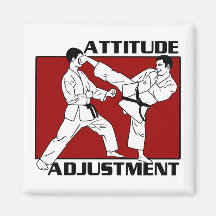 Ajustement d'attitude magnets