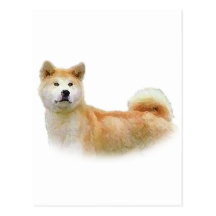 Akita Cartes Postales
