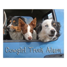 Alarme 16x20 de camion de cow-girl photos