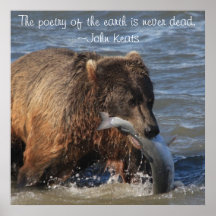 Alaskan Brown Bear poster with Keats quote