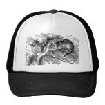Alice au pays des merveilles ; Chat de Cheshire av Casquette De Camionneur