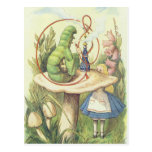 Alice rencontre Caterpillar Carte Postale
