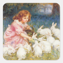 Alimentation des lapins adhésifs