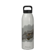 alligator bouteilles d'eau réutilisables