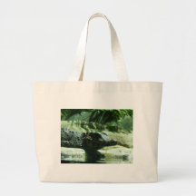 alligator de caiman sac