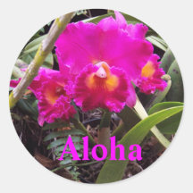 Aloha autocollant d'orchidée