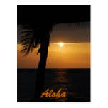 Aloha cartes hawaïennes de coucher du soleil cartes postales
