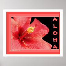 Aloha copie d'art de Haiku de fleur de ketmie Posters