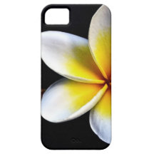 Aloha Hawaiian Frangipani Blossoms Plumerias iPhone 5 Cover