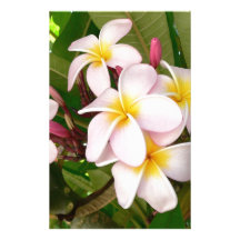 Aloha Hawaiian Frangipani Blossoms Plumerias Personalized Stationery