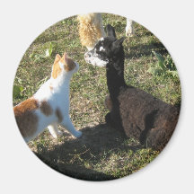 Alpaga et ami magnets pour réfrigérateur