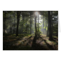 Amabilité de matin cartes