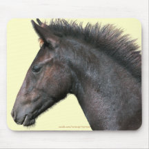 Amant espagnol Mousepad de cheval de mustang Tapis De Souris