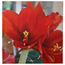 Amaryllis en rouge lumineux serviettes imprimées
