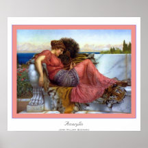 Amaryllis Posters