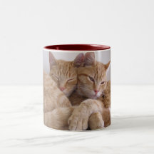Amber&Topez Mugs