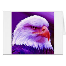 Américain chauve Eagle Cartes De Vœux