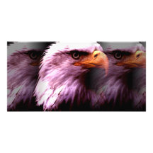 Américain chauve Eagle Cartes De Vœux Avec Photo