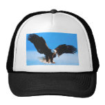 Américain chauve Eagle Casquette
