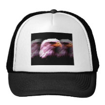 Américain chauve Eagle Casquettes De Camionneur