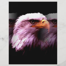 Américain chauve Eagle Prospectus Avec Motif
