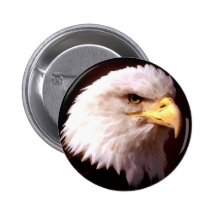 Américain Eagle d'Eagle chauve Badges