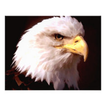 Américain Eagle d'Eagle chauve Invitations