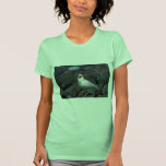 Américain Sheathbill T-shirts