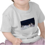 Américain Sheathbills T-shirt