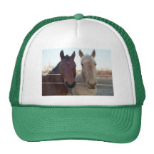 Ami - ami casquettes de camionneur