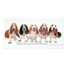 Amis de Basset Hound pour toujours Cartes De Vœux Avec Photo