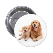 Amis de golden retriever pin's
