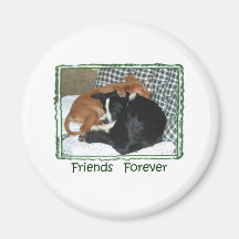 Amis pour toujours - border collie et golden retri magnets