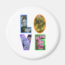 Amour avec des fleurs aimants