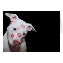 Amour blanc de chiot, scellé avec des baisers de r cartes de vœux